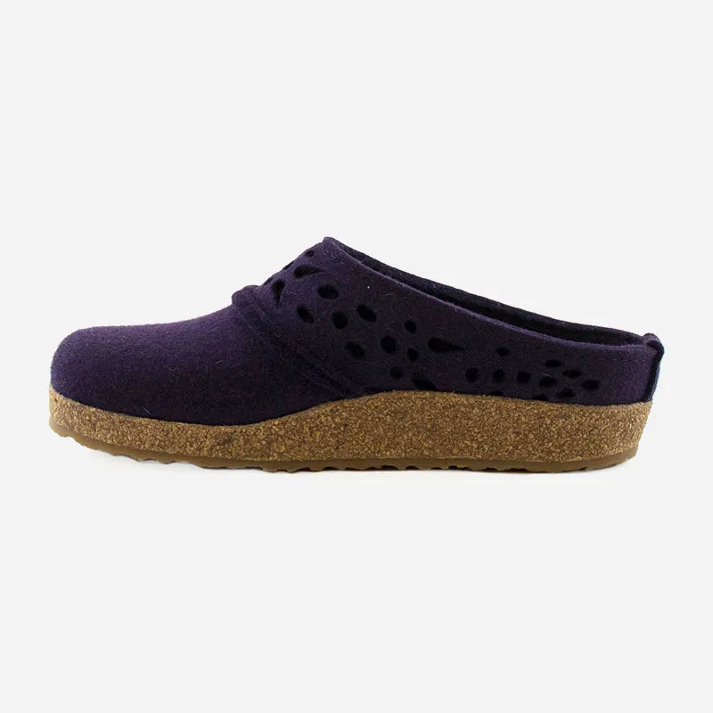 Haflinger Lacey
