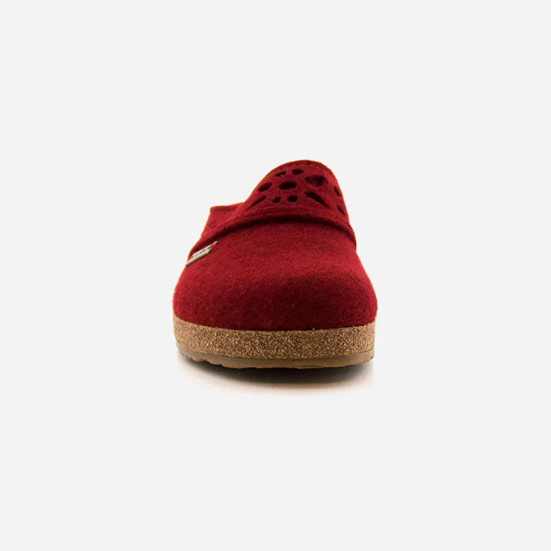 Haflinger Lacey